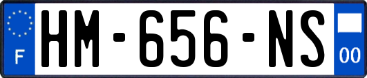 HM-656-NS