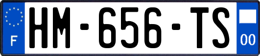 HM-656-TS