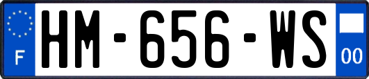 HM-656-WS