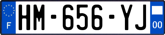 HM-656-YJ
