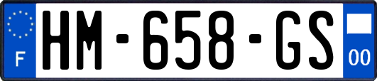 HM-658-GS
