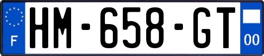 HM-658-GT