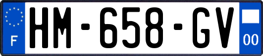 HM-658-GV
