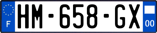 HM-658-GX