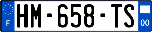 HM-658-TS