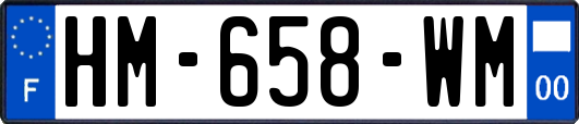 HM-658-WM