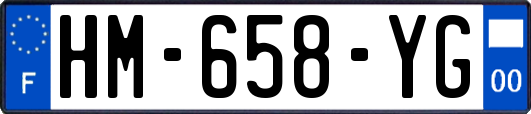 HM-658-YG