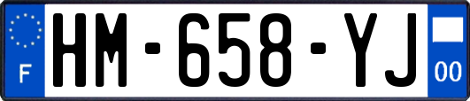HM-658-YJ