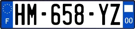 HM-658-YZ