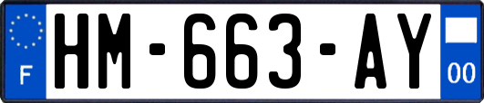 HM-663-AY