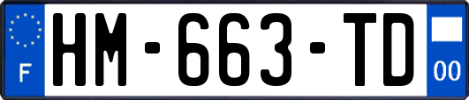 HM-663-TD