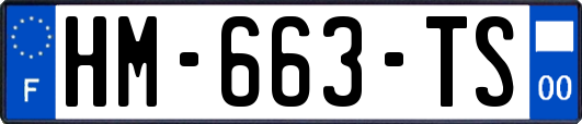 HM-663-TS