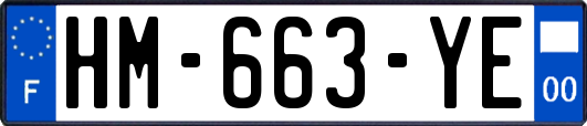 HM-663-YE