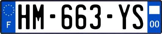 HM-663-YS