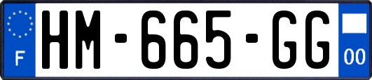 HM-665-GG