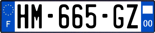 HM-665-GZ
