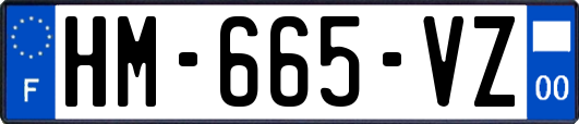 HM-665-VZ