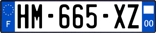 HM-665-XZ