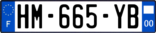 HM-665-YB