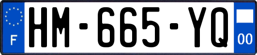 HM-665-YQ