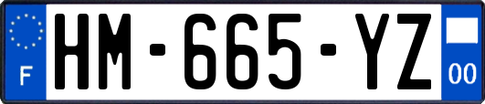 HM-665-YZ