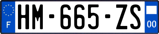 HM-665-ZS