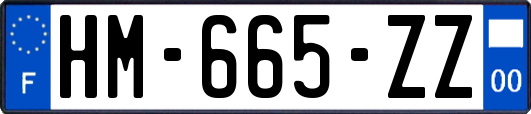 HM-665-ZZ