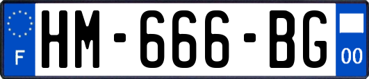 HM-666-BG