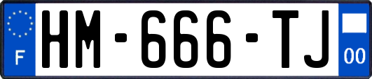 HM-666-TJ