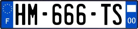 HM-666-TS
