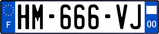 HM-666-VJ