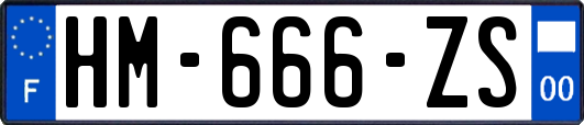 HM-666-ZS