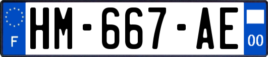 HM-667-AE