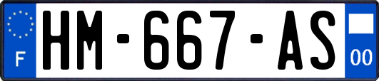 HM-667-AS