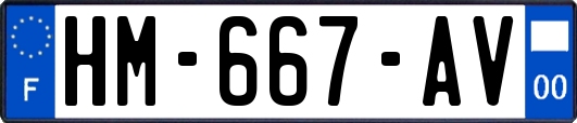 HM-667-AV