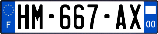 HM-667-AX