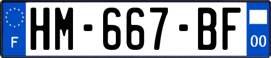 HM-667-BF
