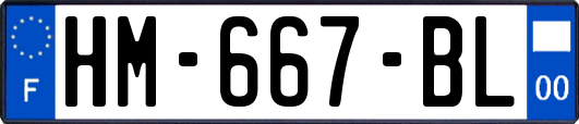 HM-667-BL