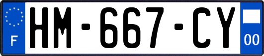 HM-667-CY