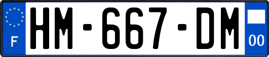 HM-667-DM