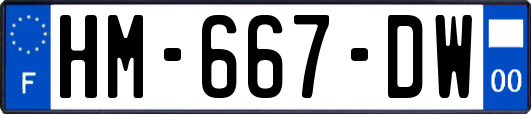 HM-667-DW