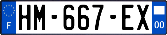 HM-667-EX
