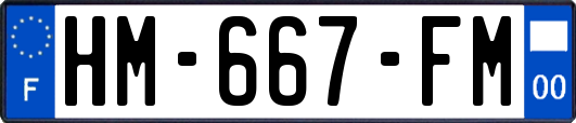HM-667-FM