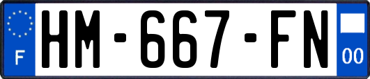 HM-667-FN
