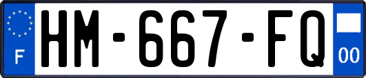 HM-667-FQ