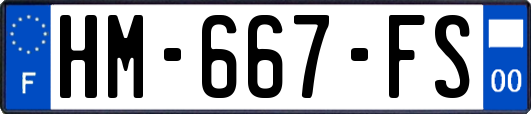 HM-667-FS