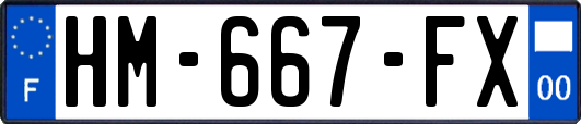 HM-667-FX