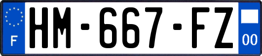 HM-667-FZ