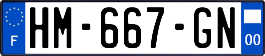 HM-667-GN