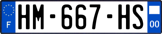 HM-667-HS
